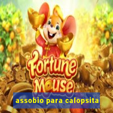 assobio para calopsita